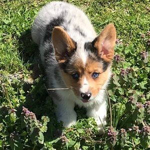 Meet your Posher, Christy